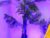 ♀️ sophiapotts Free Cam @ Chaturbate