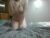 ♀️♂️ spitfirestarter Free Cam @ Chaturbate