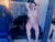 ♀️ stefanny_dl Free Cam @ Chaturbate