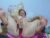 ♀️ stepmom_slut_50_ Free Cam @ Chaturbate