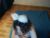 ♀️ sun_dreamer Free Cam @ Chaturbate
