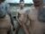 ♂️ super_boys1 Free Cam @ Chaturbate