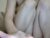 ♀️ supereasyx Free Cam @ Chaturbate