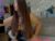 ♀️ sweet_kate333 Free Cam @ Chaturbate