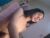⚧️ sweetgirl_chenne18 Free Cam @ Chaturbate