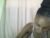 ♀️ sweetpetite254 Free Cam @ Chaturbate