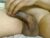 ♂️ t_h_e_m_a_n1 Free Cam @ Chaturbate