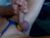 ♂️ tedshredinrdu Free Cam @ Chaturbate
