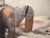 ♀️ tessasavanna Free Cam @ Chaturbate