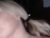 ♀️ th0se_tits_th0 Free Cam @ Chaturbate