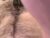 ♂️ thegame2588 Free Cam @ Chaturbate