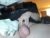 ♂️ thegonzodr Free Cam @ Chaturbate