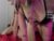 ♀️ themykalaxo Free Cam @ Chaturbate