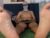 ♂️ theuniquemaster0 Free Cam @ Chaturbate