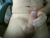 ♂️ tomslong46 Free Cam @ Chaturbate