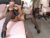 ♀️ traci_lords20 Free Cam @ Chaturbate