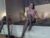 ♀️ valeriecoy Free Cam @ Chaturbate