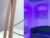 ♀️ vermelha_gremory1 Free Cam @ Chaturbate
