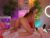 ♀️ vesia Free Cam @ Chaturbate