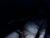 ♂️ wakeupthedead77 Free Cam @ Chaturbate
