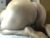 ⚧️ whiteheat69 Free Cam @ Chaturbate