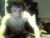 ♂️ willfro_ Free Cam @ Chaturbate
