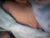 ♀️ xgraciebabyx Free Cam @ Chaturbate