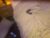 ♀️♂️ xxcouplesinnersxx Free Cam @ Chaturbate