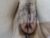 ♀️ xxxlola_ Free Cam @ Chaturbate