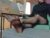 ♀️ yourfreebird Free Cam @ Chaturbate