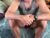 ♂️ zaddykendoll Free Cam @ Chaturbate