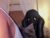 ♀️ zarah_paige Free Cam @ Chaturbate