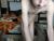 ♂️ zincky Free Cam @ Chaturbate