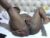 ♀️ zindzi Free Cam @ Chaturbate
