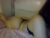 ♀️ zolagrayxoxo Free Cam @ Chaturbate